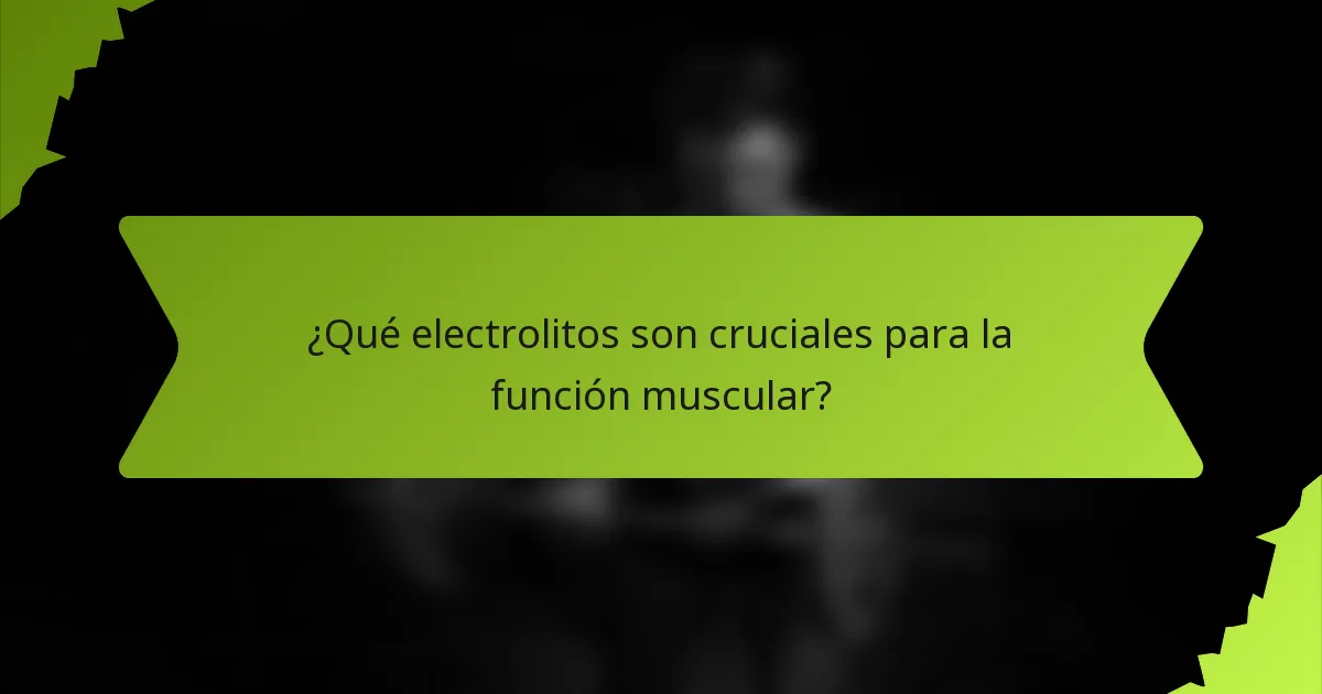 ¿Qué electrolitos son cruciales para la función muscular?